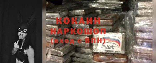 соль ск Козловка