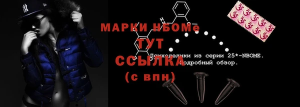 соль ск Козловка