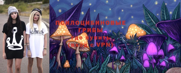гидропоника Кодинск