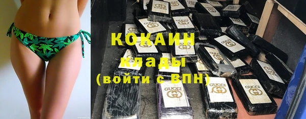 соль ск Козловка
