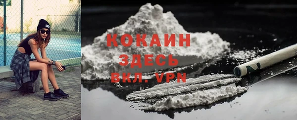соль ск Козловка