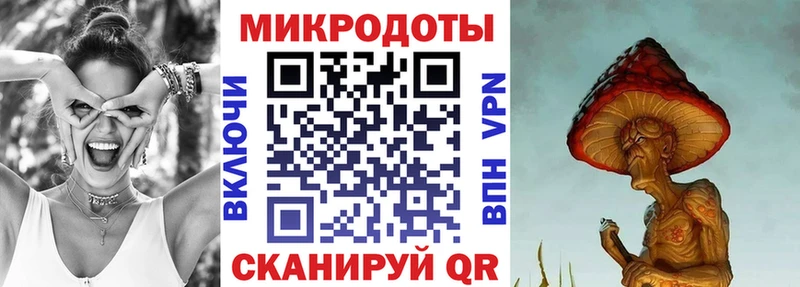 Галлюциногенные грибы Psilocybine cubensis  Ворсма 